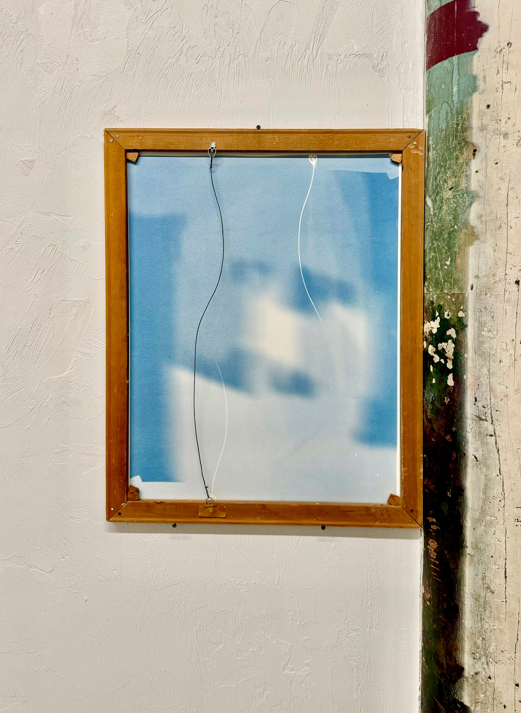 Kelley Harwood